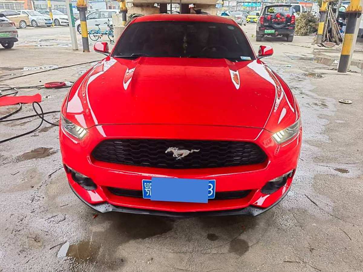 福特 Mustang  2016款 2.3T 性能版圖片