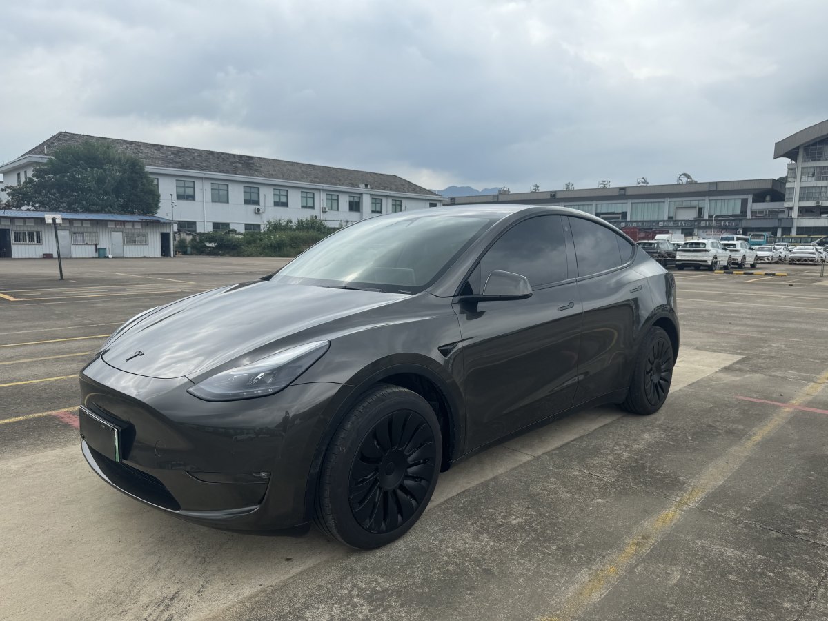 特斯拉 Model Y  2021款 改款 Performance高性能全輪驅(qū)動版圖片