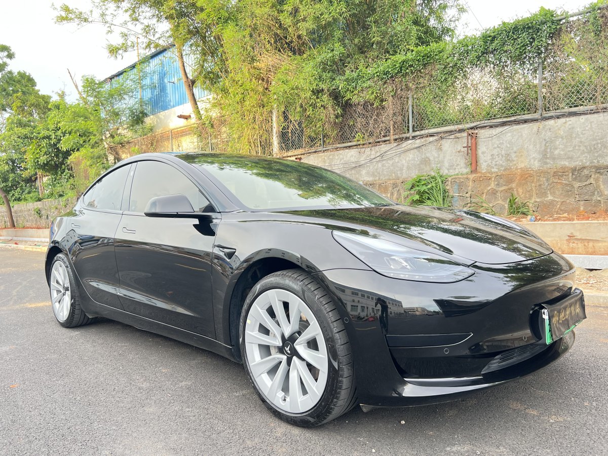 2021年6月特斯拉 Model 3  2021款 標(biāo)準(zhǔn)續(xù)航后驅(qū)升級版 3D6