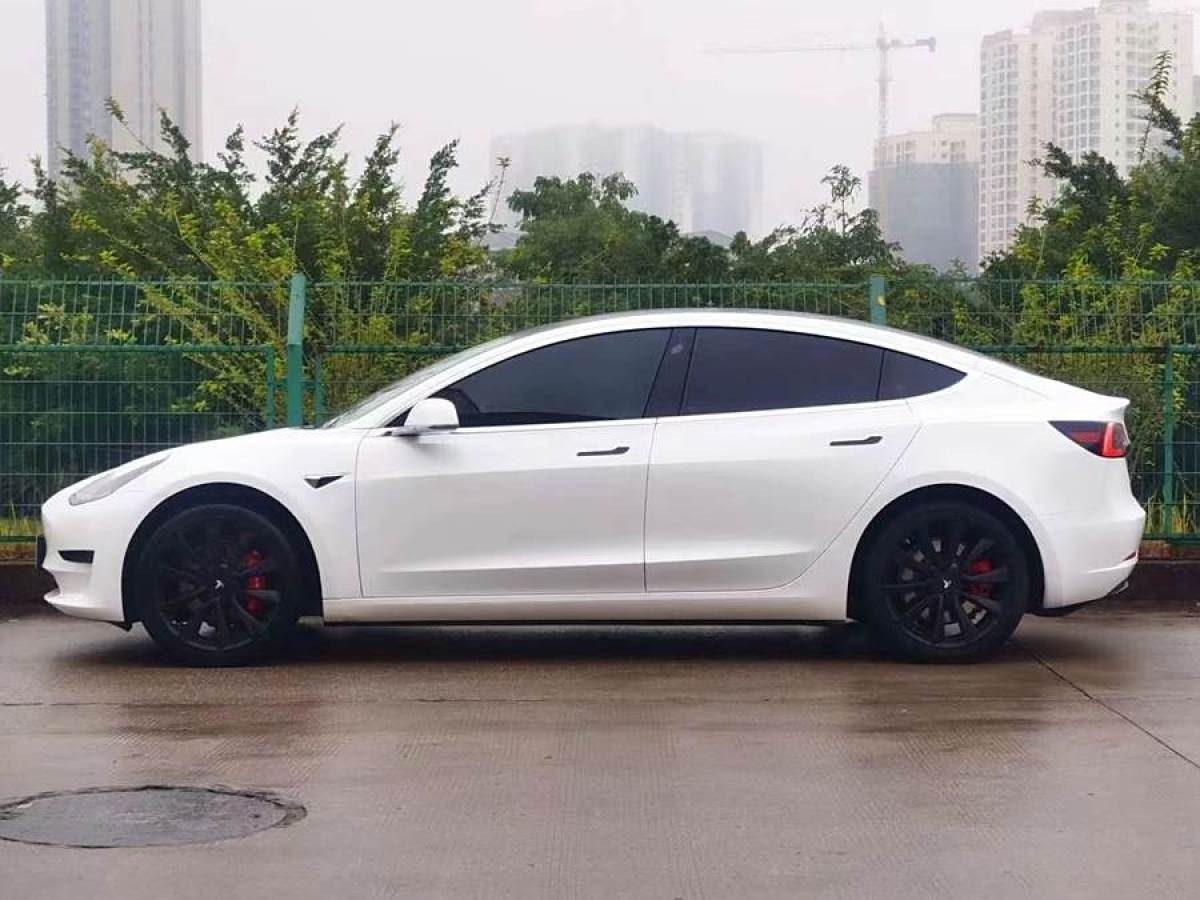 特斯拉 Model 3  2019款 標(biāo)準(zhǔn)續(xù)航后驅(qū)升級(jí)版圖片