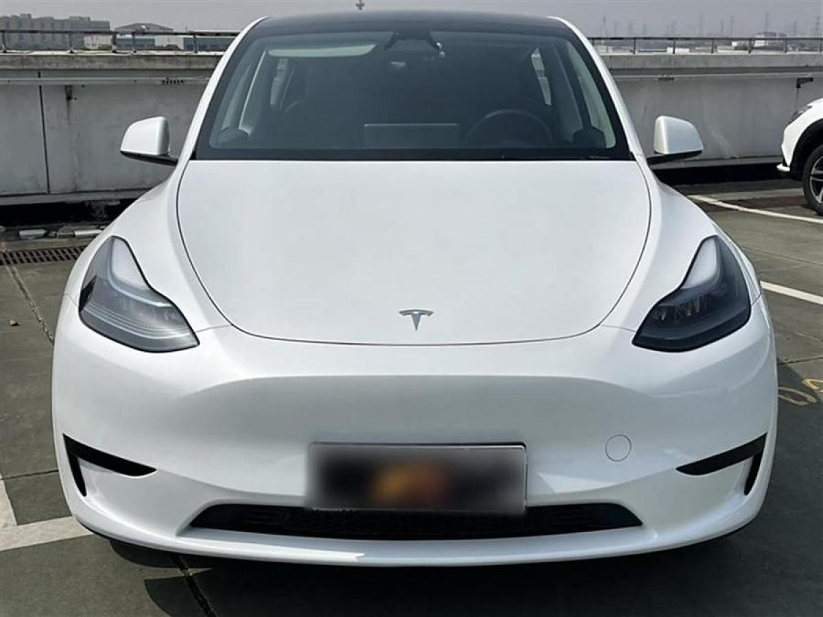 特斯拉 Model 3  2020款 改款 長續(xù)航后輪驅(qū)動版圖片