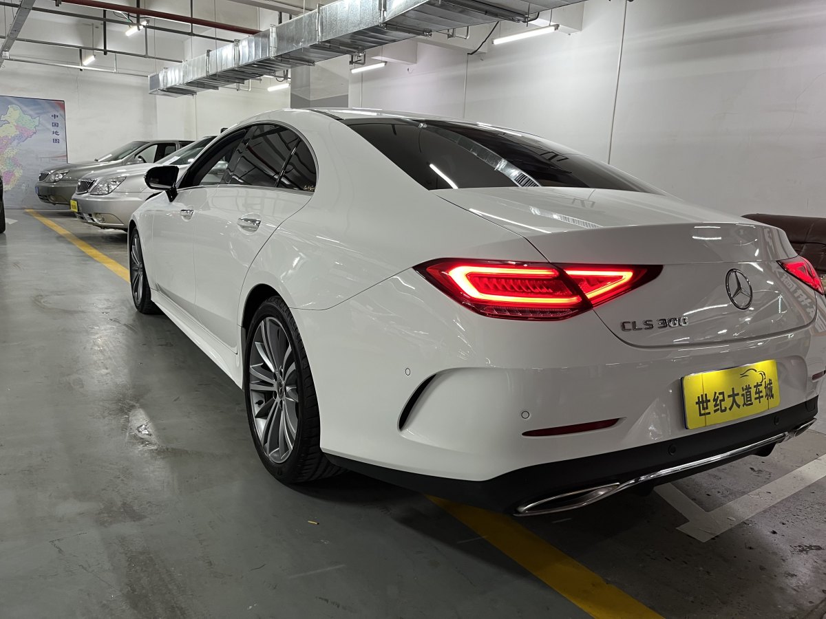 奔馳 奔馳CLS級(jí)  2018款 CLS 300 豪華型圖片