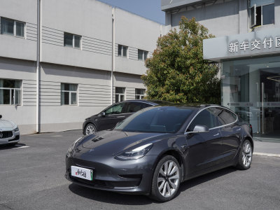 2020年1月 特斯拉 Model 3 標準續(xù)航后驅(qū)升級版圖片