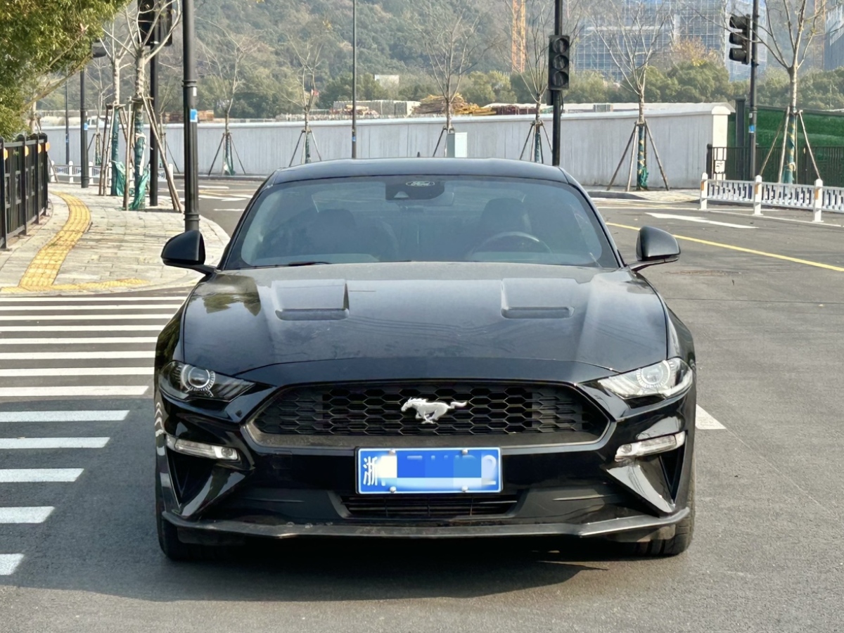 福特 Mustang  2021款 2.3L EcoBoost圖片