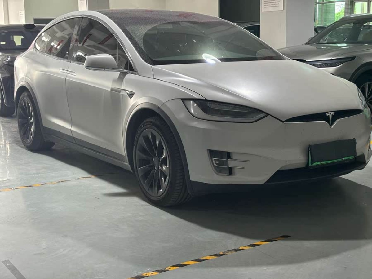 特斯拉 Model X  2019款 長續(xù)航版圖片