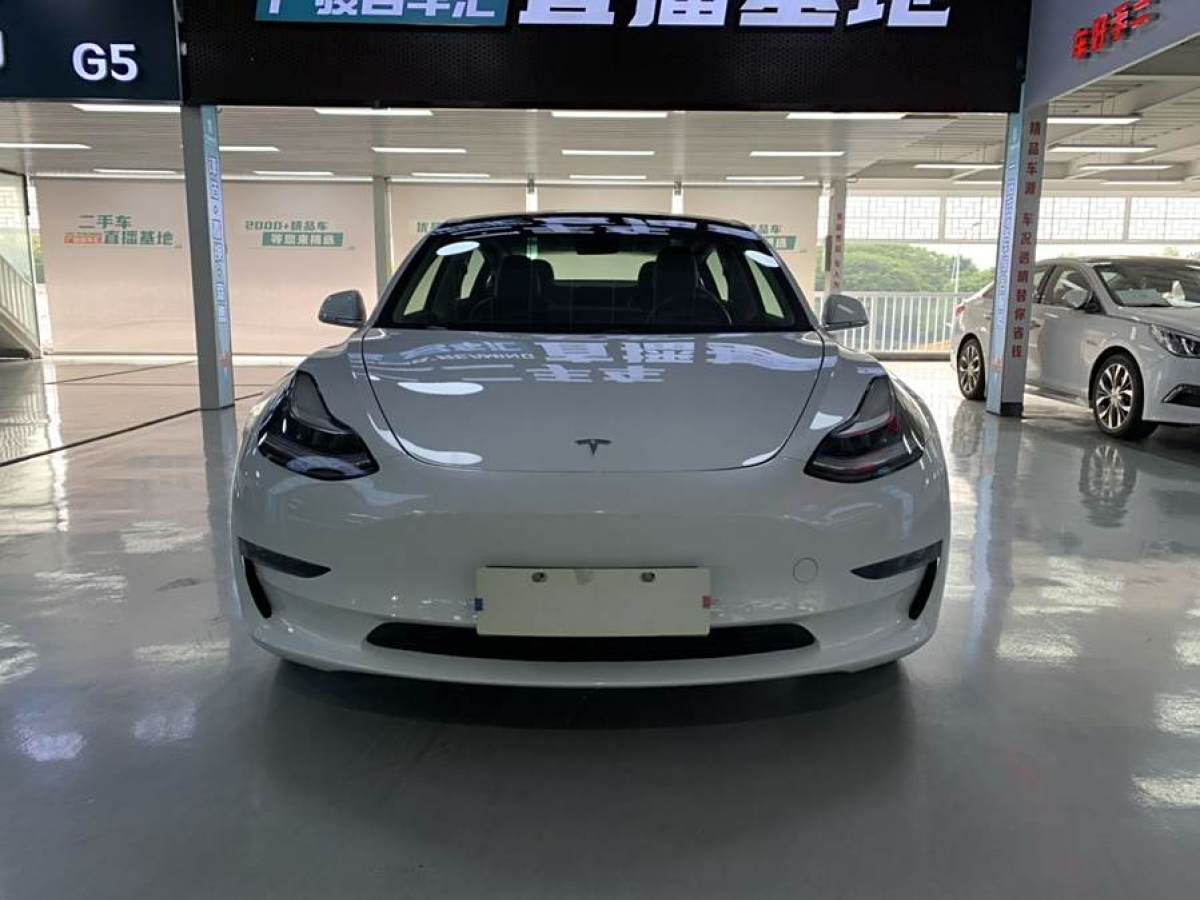 特斯拉 Model 3  2019款 長續(xù)航后驅(qū)版圖片