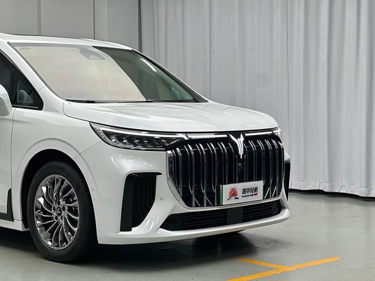 嵐圖 夢想家  2024款 PHEV 超長續(xù)航旗艦版圖片