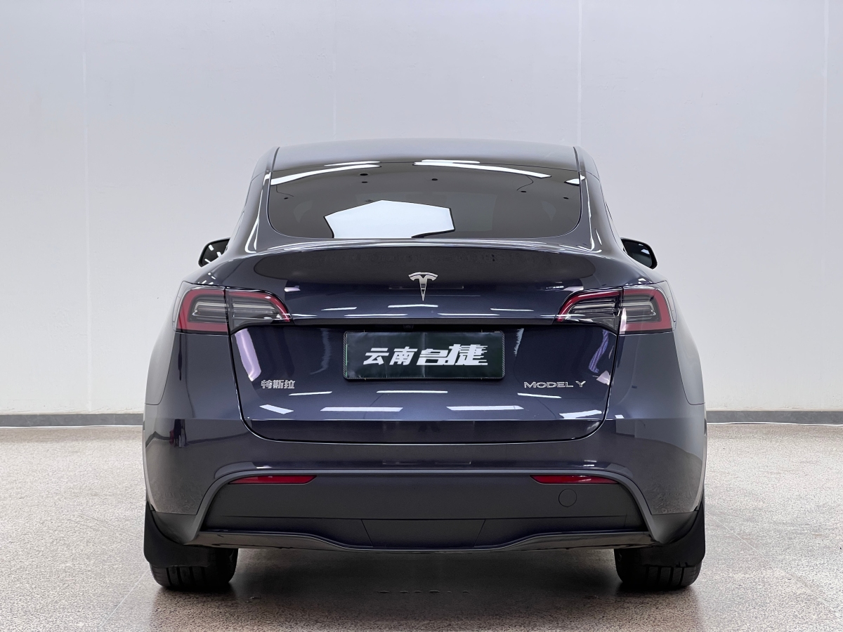 特斯拉 Model Y  2020款 改款 長續(xù)航后輪驅(qū)動版圖片