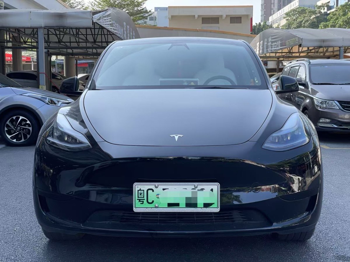 特斯拉 Model 3  2020款 改款 長續(xù)航后輪驅(qū)動版圖片