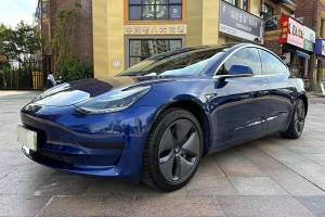 Model 3 特斯拉 标准续航后驱升级版