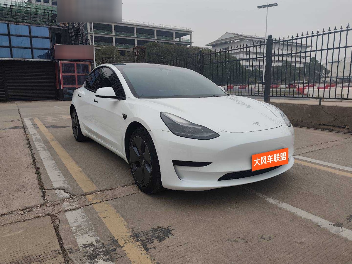 特斯拉 Model 3  2021款 標(biāo)準(zhǔn)續(xù)航后驅(qū)升級(jí)版 3D6圖片