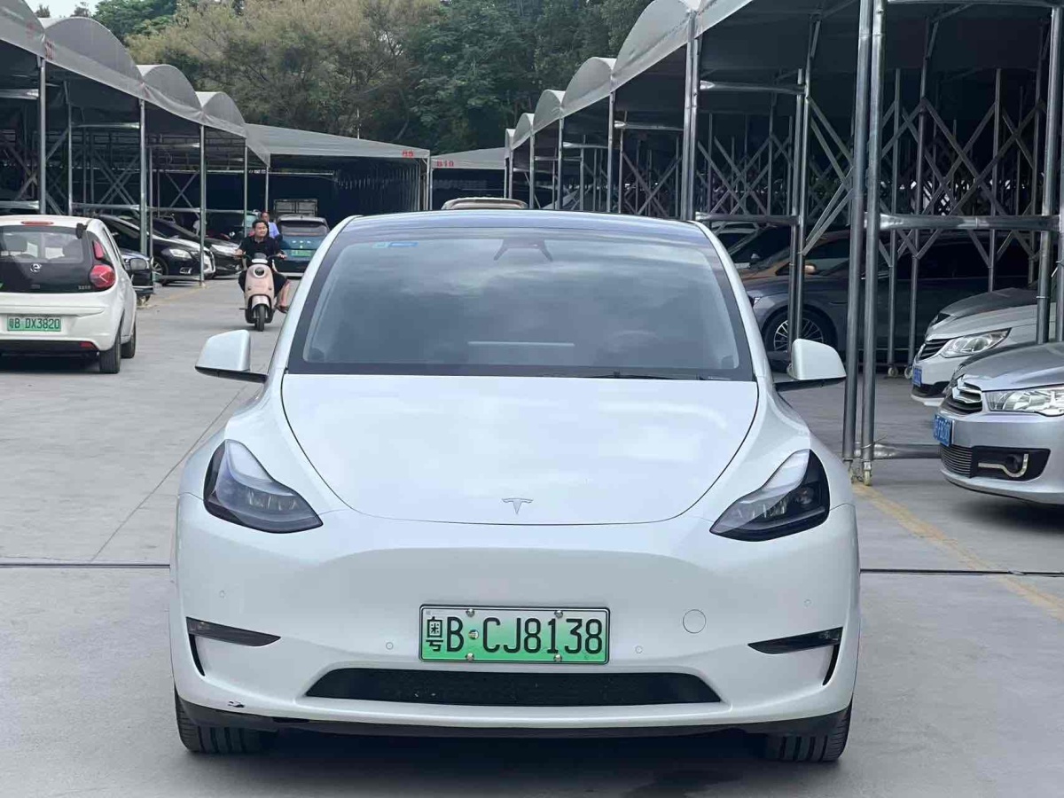 特斯拉 Model Y  2021款 改款 標(biāo)準(zhǔn)續(xù)航后驅(qū)升級(jí)版圖片