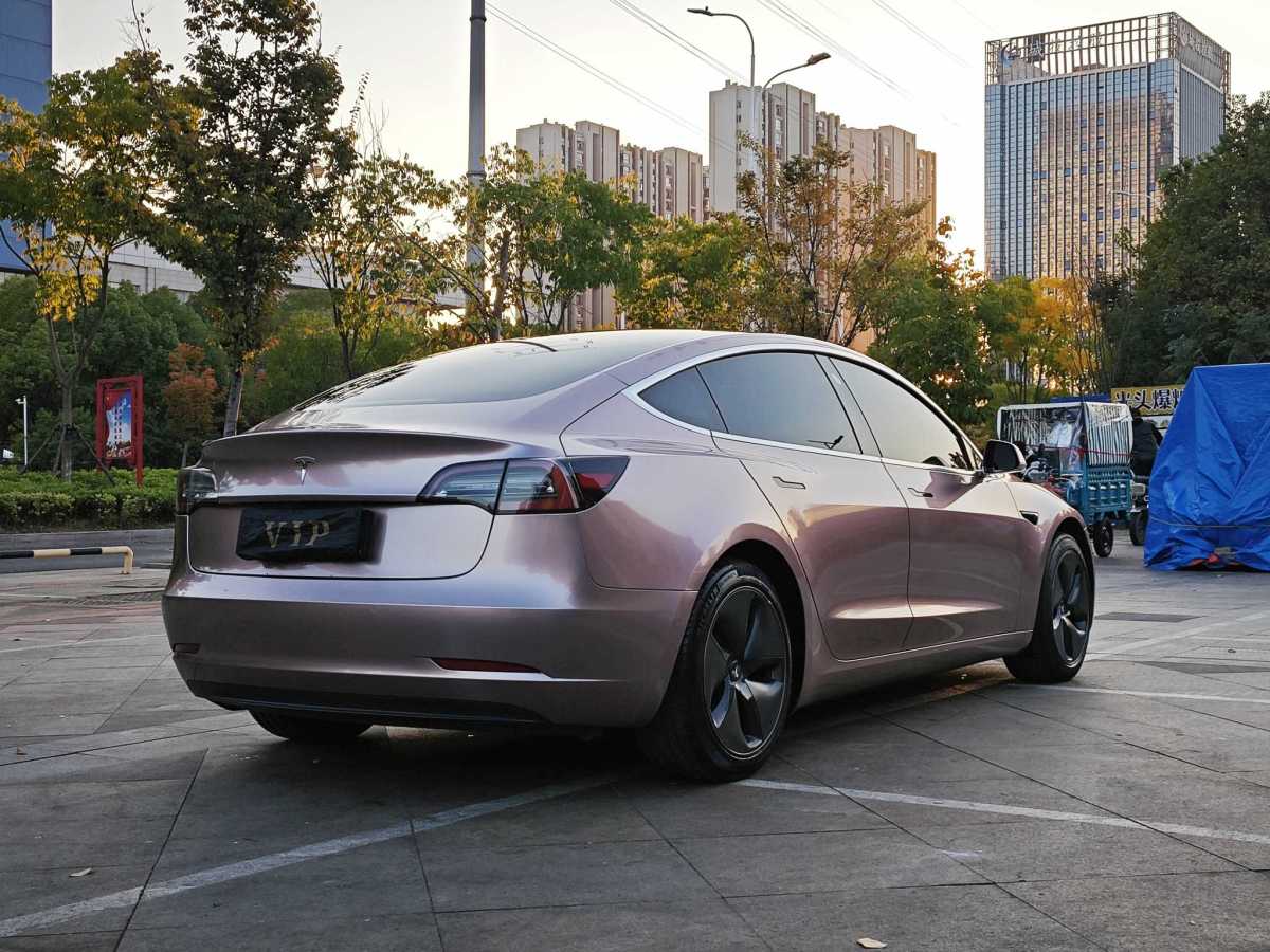 特斯拉 Model 3  2019款 標(biāo)準(zhǔn)續(xù)航后驅(qū)升級版圖片