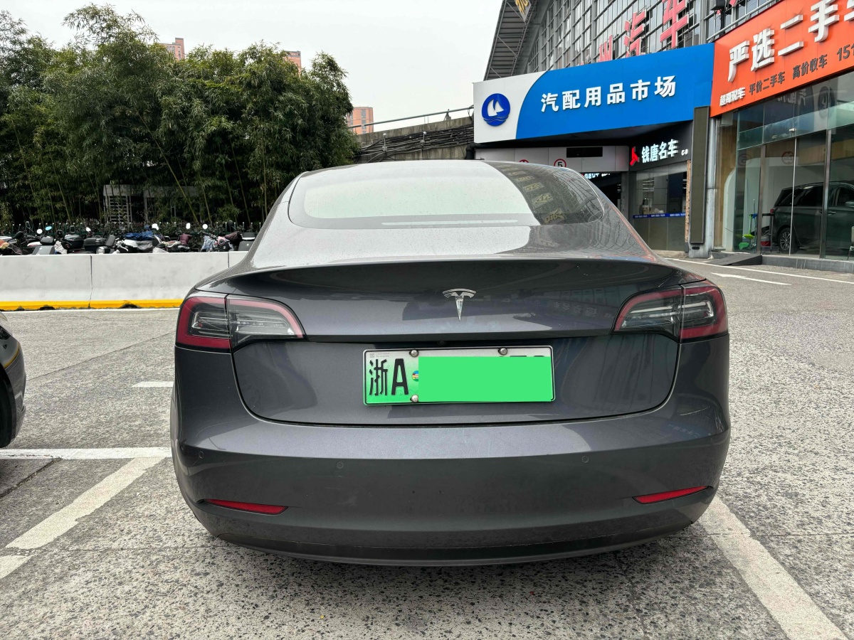 特斯拉 Model 3  2019款 標(biāo)準(zhǔn)續(xù)航后驅(qū)升級(jí)版圖片