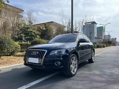 2010年1月 奧迪 奧迪Q5(進口) Q5 2.0TSI 首發(fā)限量版運動版圖片