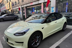 特斯拉 Model 3 2021款 改款 標(biāo)準(zhǔn)續(xù)航后驅(qū)升級(jí)版 3D1  