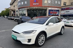 Model X 特斯拉 Model X 100D 長續(xù)航版