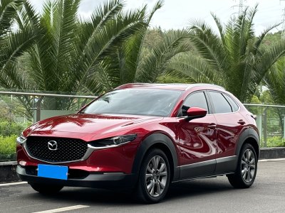 2020年6月 马自达 CX-30 2.0L 自动嘉悦型图片