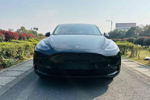 Model Y 特斯拉 Performance高性能版