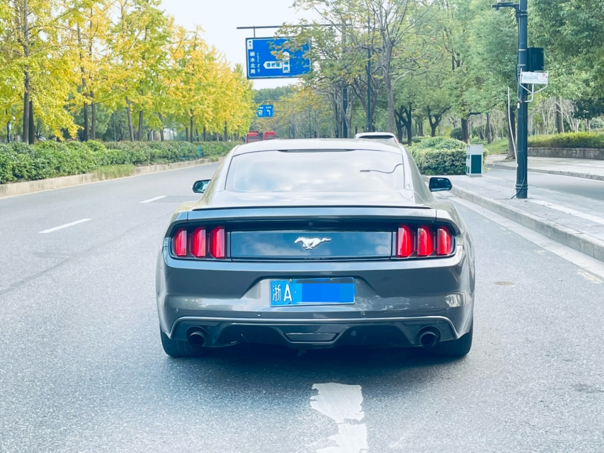 福特 Mustang  2016款 2.3T 性能版圖片