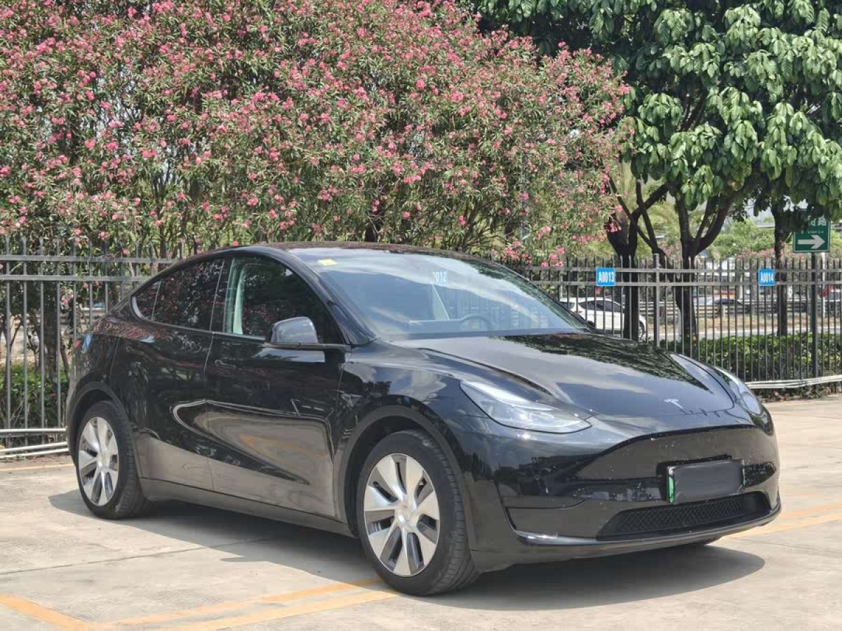 特斯拉 Model Y  2022款 改款 后輪驅(qū)動版圖片