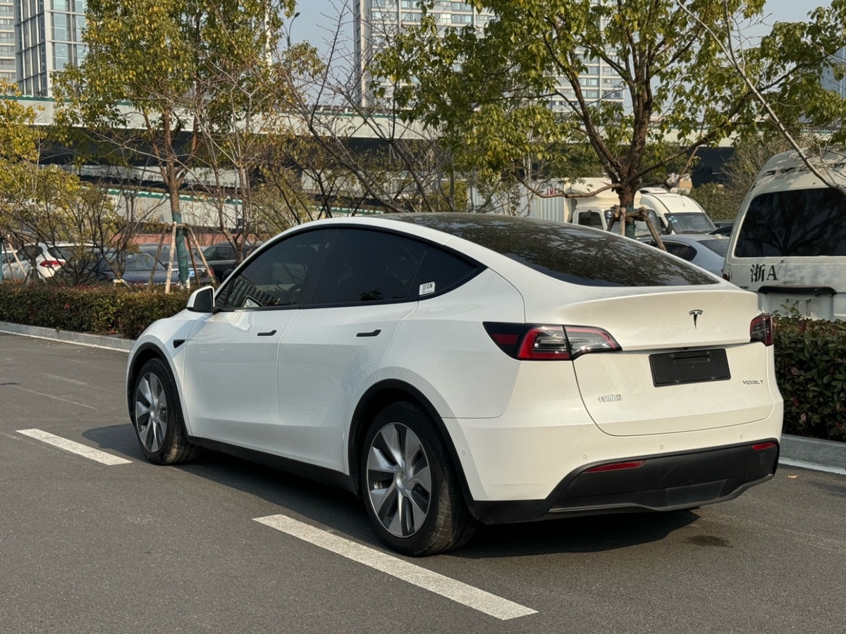 特斯拉 Model Y  2021款 標(biāo)準(zhǔn)續(xù)航后驅(qū)版圖片