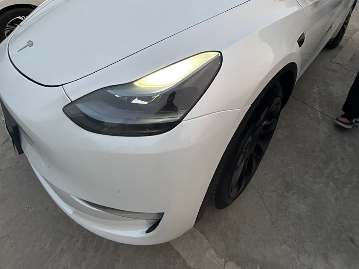 特斯拉 Model Y  2021款 長續(xù)航全輪驅(qū)動版 3D7圖片