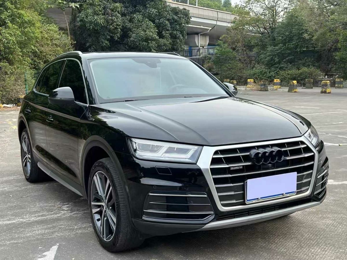 奧迪 奧迪Q5L  2020款 45 TFSI 尊享風(fēng)雅型圖片