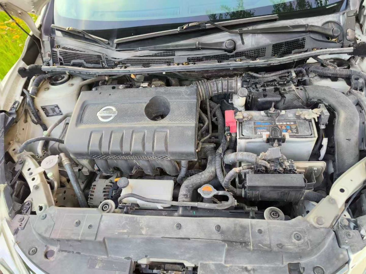 日產(chǎn) 騏達(dá)  2011款 1.6L CVT舒適型圖片