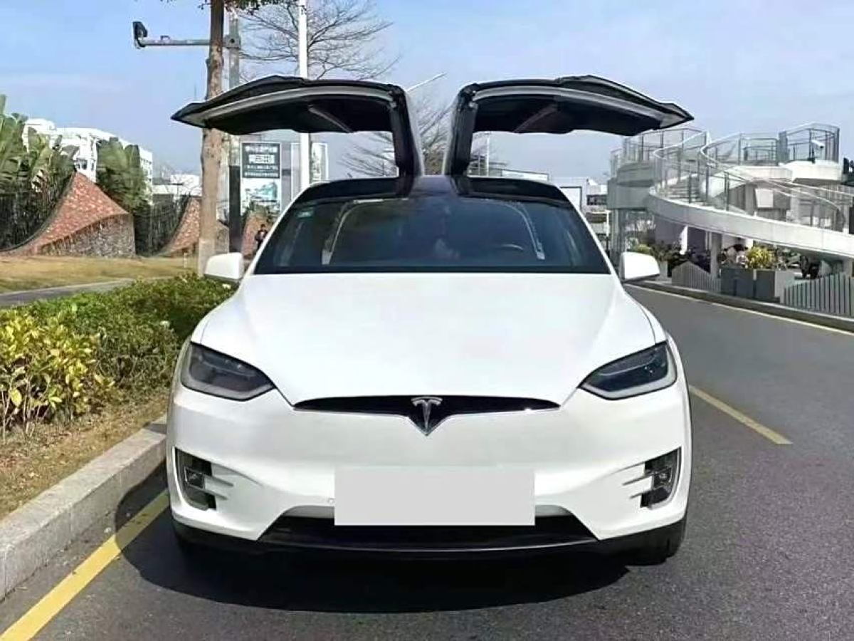 特斯拉 Model X  2016款 Model X 75D圖片