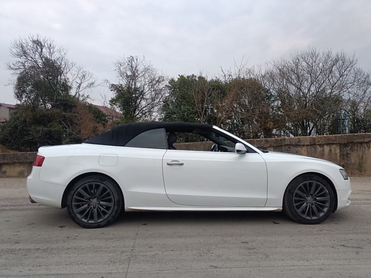 奧迪 奧迪A5  2013款 Cabriolet 40 TFSI圖片