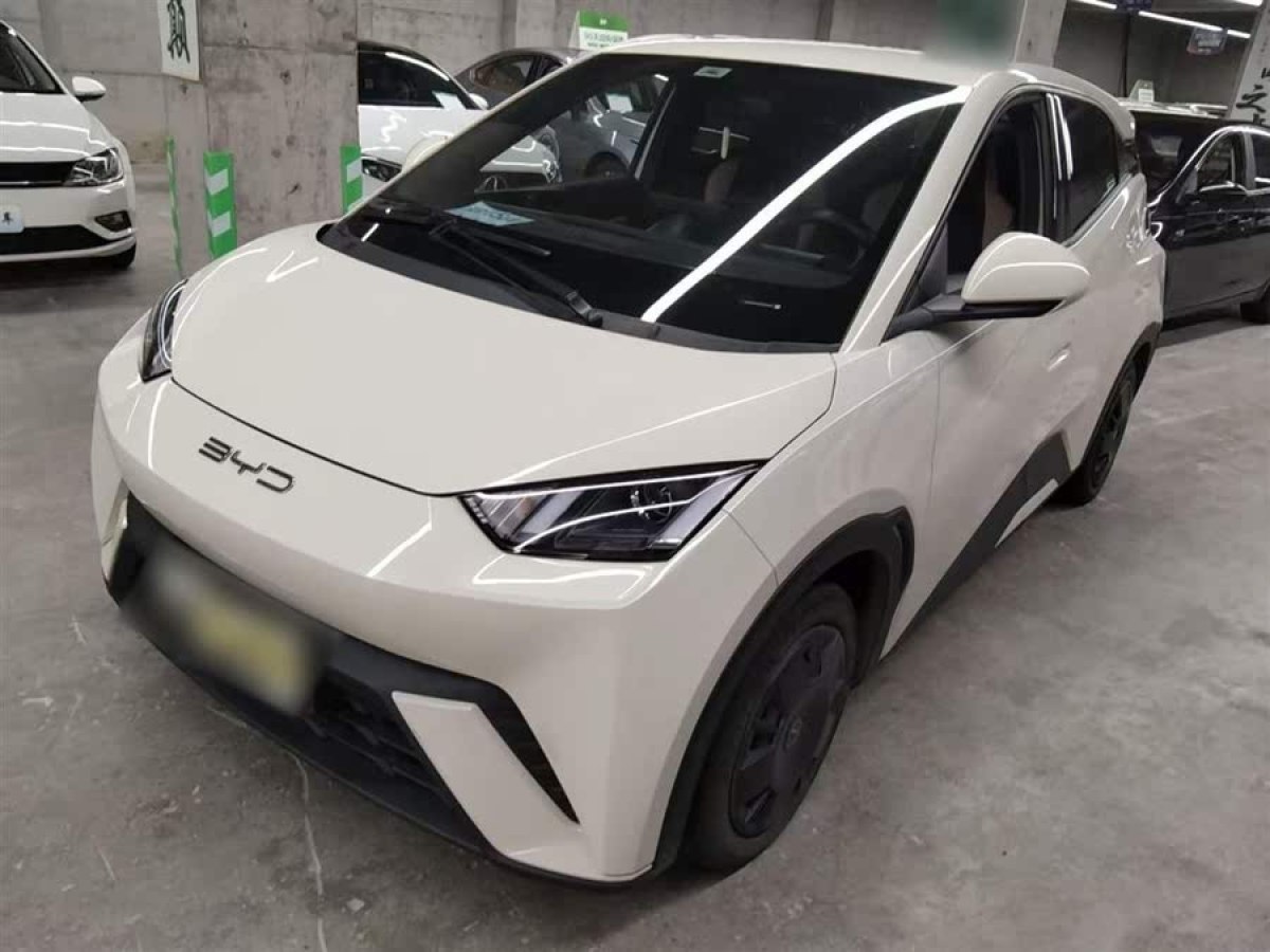 比亞迪 海鷗  2023款 活力版圖片