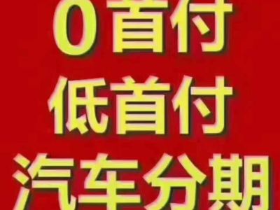 2013年1月 日產(chǎn) 日產(chǎn)帕拉丁 2.4L 手動(dòng)行政型圖片