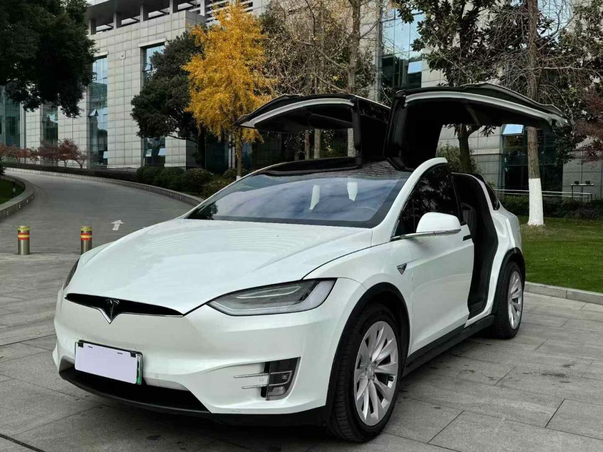 特斯拉 Model X  2020款 Performance 高性能版圖片