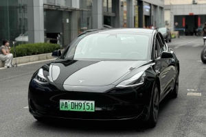 Model 3 特斯拉 改款 標(biāo)準(zhǔn)續(xù)航后驅(qū)升級版