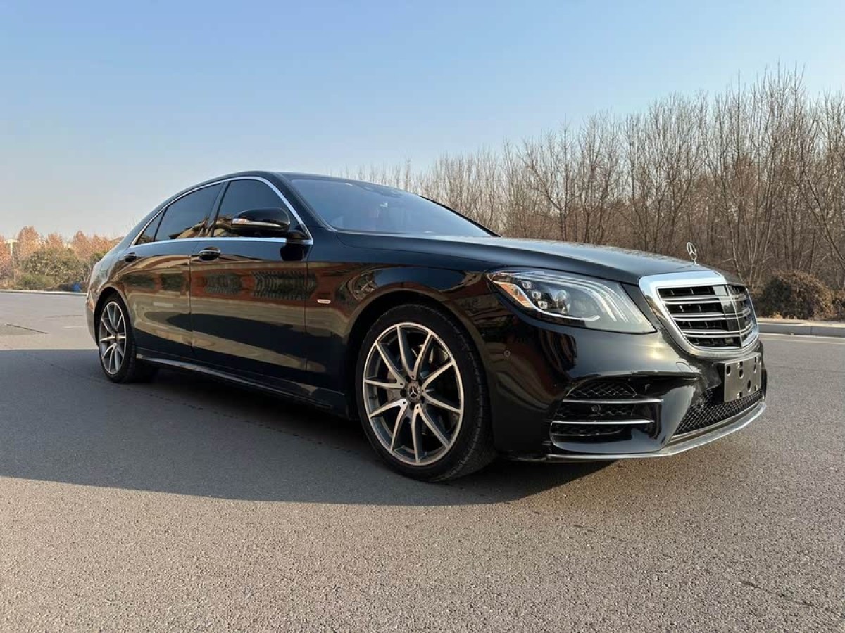 奔馳 奔馳S級(jí)  2020款 S 450 L 4MATIC 臻藏版圖片
