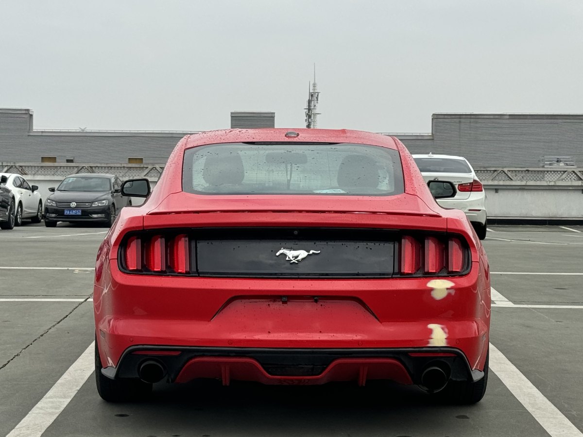 福特 Mustang  2017款 2.3T 性能版圖片