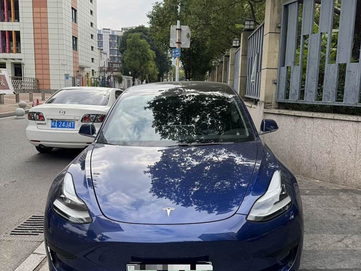 特斯拉 Model 3  2019款 標準續(xù)航后驅(qū)升級版圖片