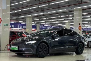 Model 3 特斯拉 高性能全輪驅(qū)動(dòng)版
