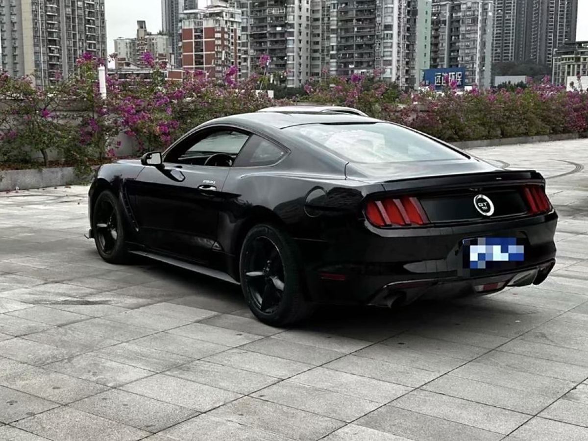 福特 Mustang  2015款 2.3T 性能版圖片