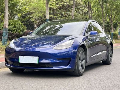 2020年3月 特斯拉 Model 3 標(biāo)準(zhǔn)續(xù)航后驅(qū)升級(jí)版圖片