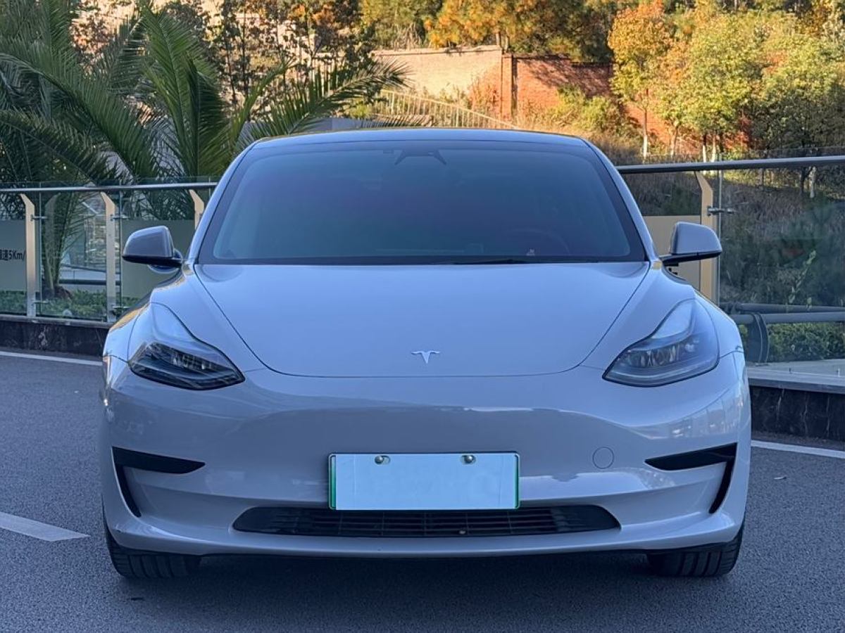 特斯拉 Model 3  2021款 改款 標(biāo)準(zhǔn)續(xù)航后驅(qū)升級(jí)版圖片