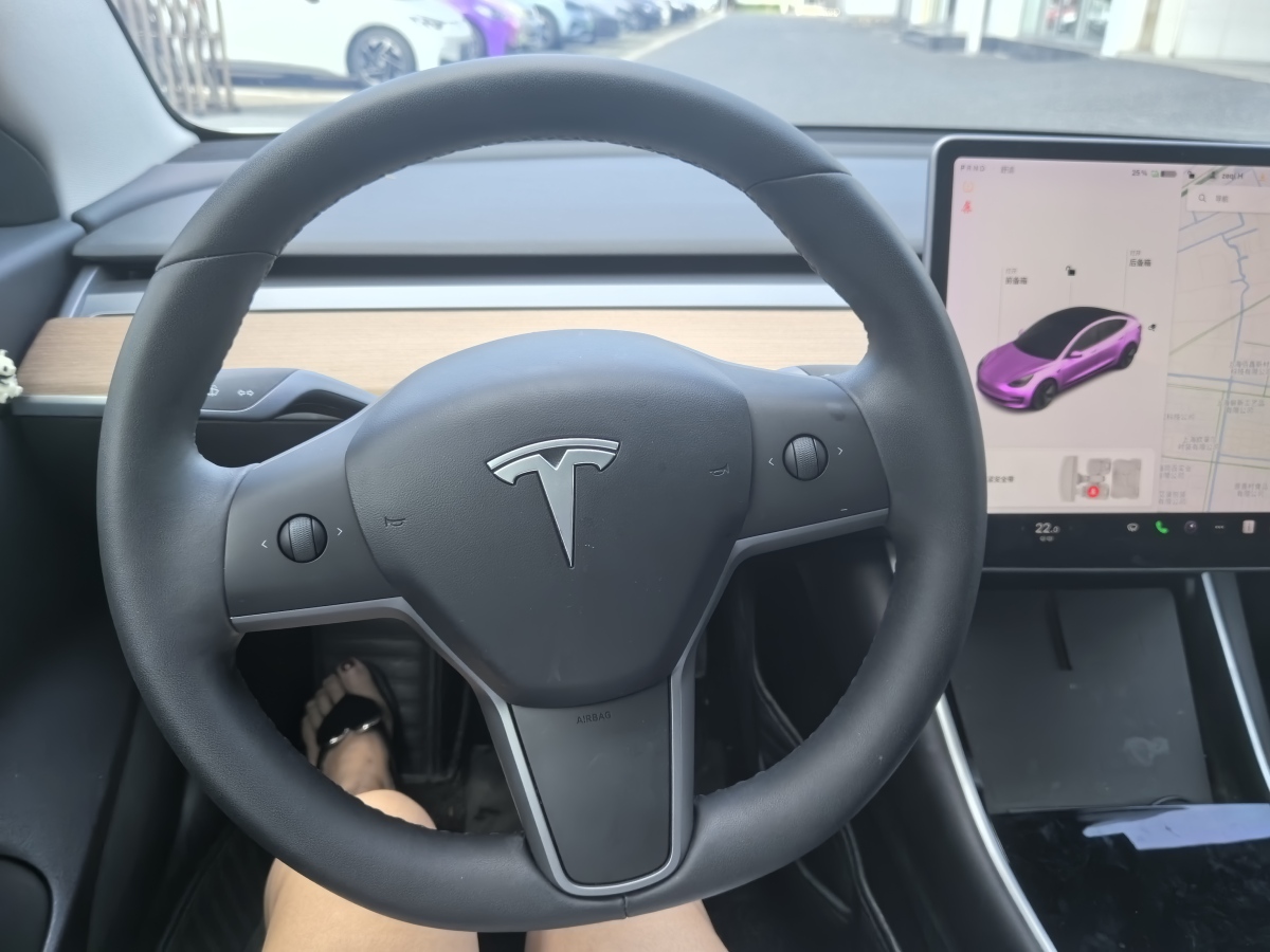 特斯拉 Model 3  2019款 标准续航后驱升级版图片