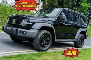 坦克300 坦克 越野版 2.0T 征服者
