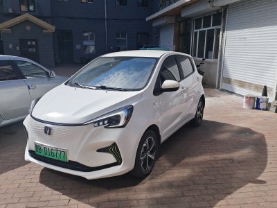 2022年7月 長(zhǎng)安 奔奔E-Star 心悅版 三元鋰圖片