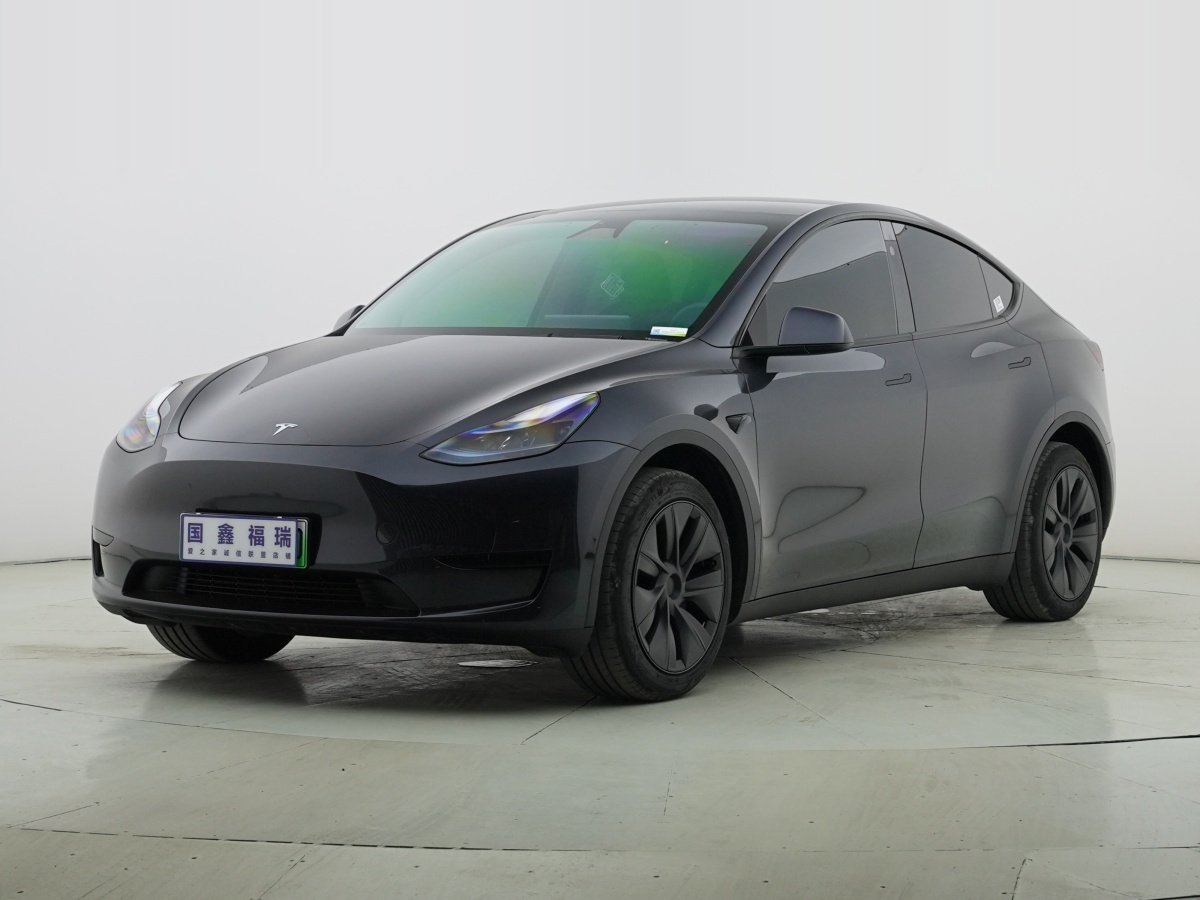 特斯拉 Model Y  2020款 改款 長續(xù)航后輪驅(qū)動版圖片