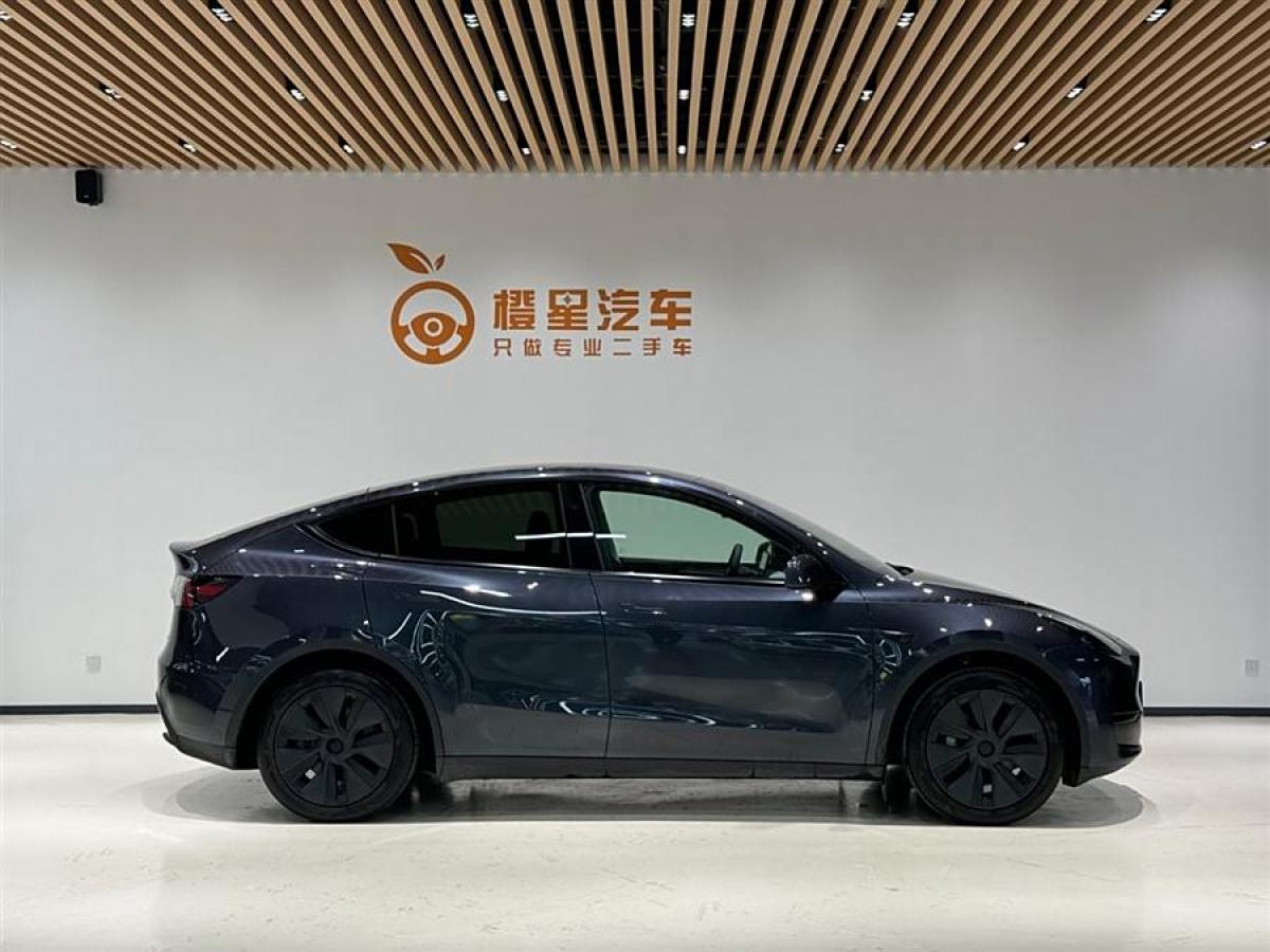 特斯拉 Model Y  2020款 改款 長(zhǎng)續(xù)航后輪驅(qū)動(dòng)版圖片