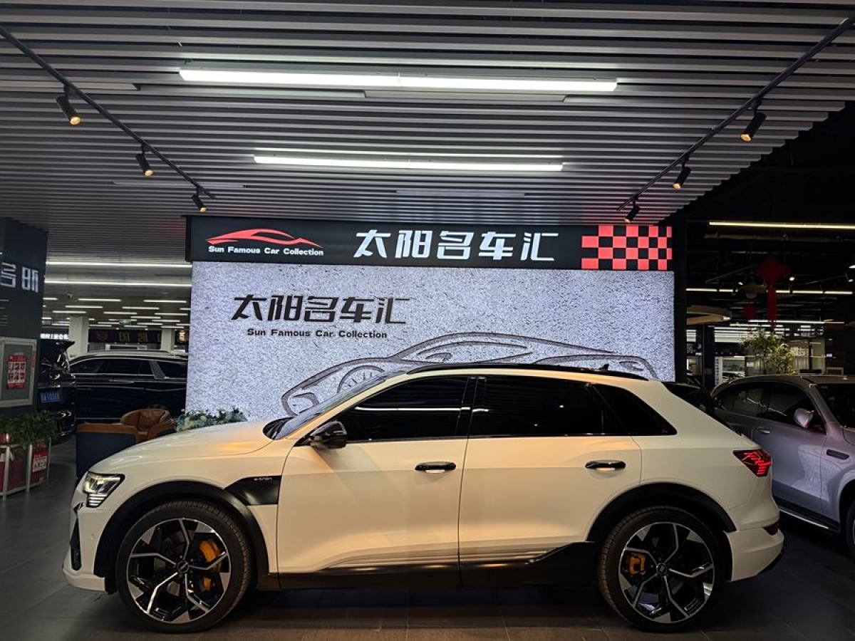 奧迪 奧迪e-tron  2021款 50 quattro 尊享型圖片