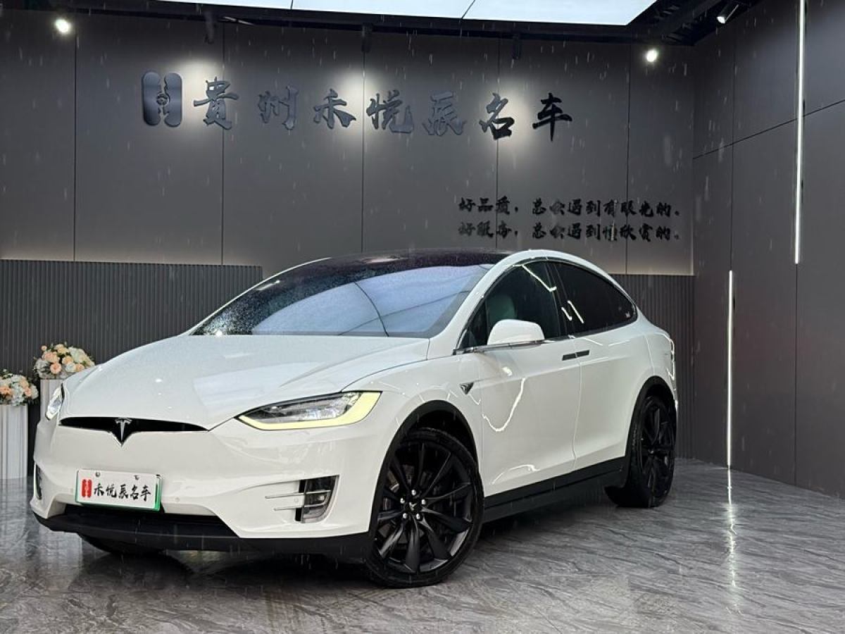 2019年1月特斯拉 Model X  2017款 Model X 100D 長續(xù)航版