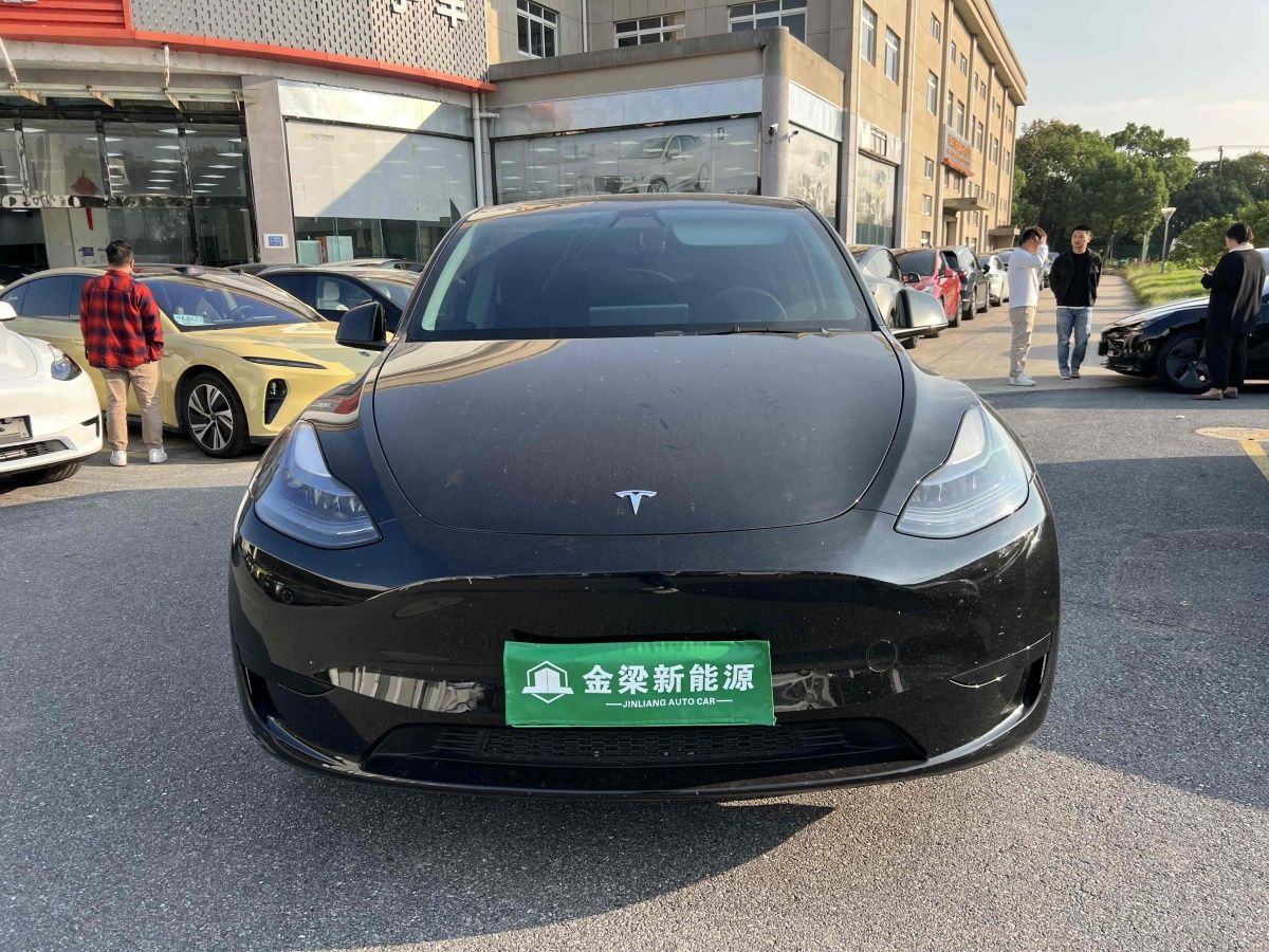 特斯拉 Model Y  2020款 改款 長續(xù)航后輪驅(qū)動(dòng)版圖片